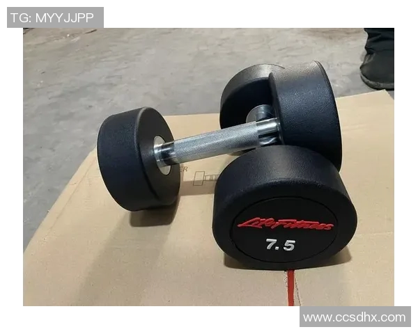 50公斤哑铃价格分析及购买建议让你轻松选择合适的健身器材